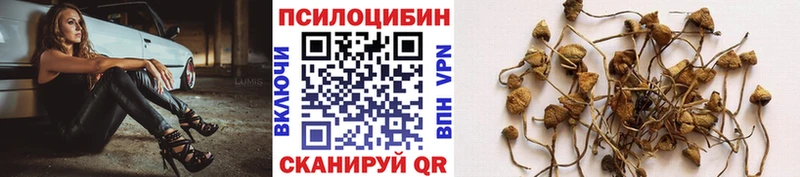 Псилоцибиновые грибы Psilocybe  площадка Telegram  Амурск 
